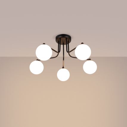Lampadario a sospensione con supporto rigido ASTRAL 5xG9/8W/230V nero