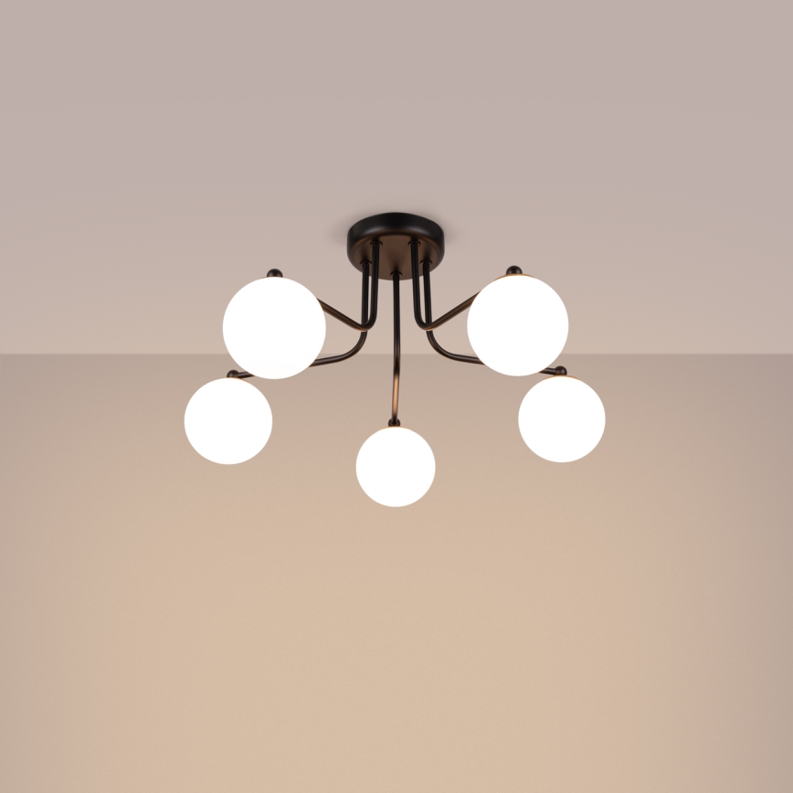 Lampadario a sospensione con supporto rigido ASTRAL 5xG9/8W/230V nero