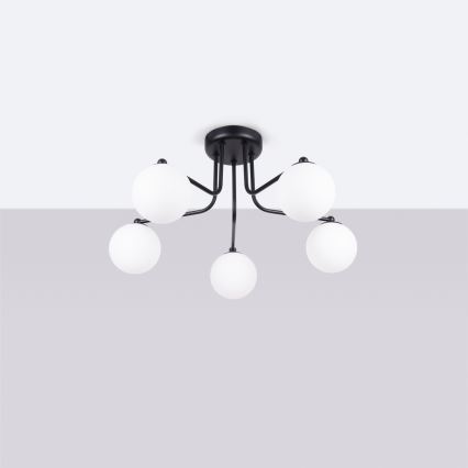 Lampadario a sospensione con supporto rigido ASTRAL 5xG9/8W/230V nero