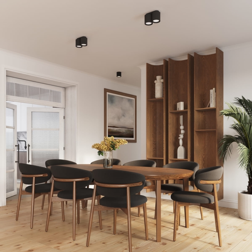 Faretto orientabile AURA 2xGU10/10W/230V nero