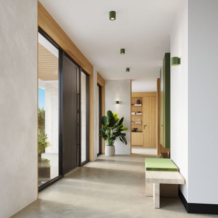 Faretto ORBIS 1xGU10/10W/230V cemento/verde