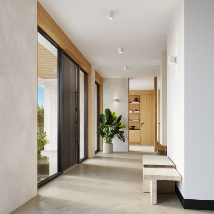 Faretto ORBIS 1xGU10/10W/230V cemento/crema