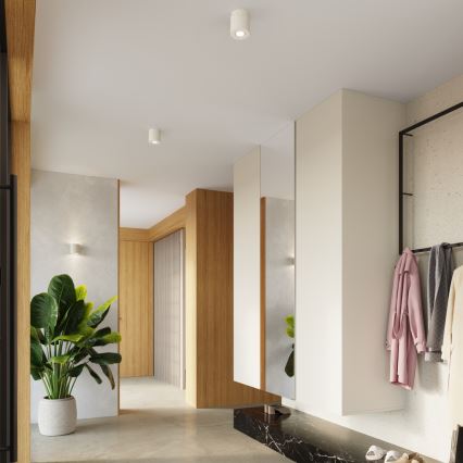 Faretto ORBIS 1xGU10/10W/230V cemento/crema