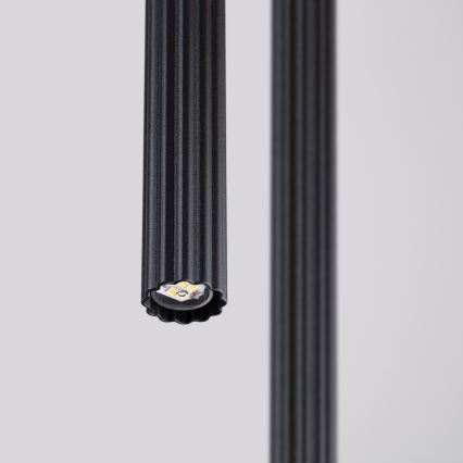 Lampadario a cavo ARCHE 2xG9/8W/230V nero