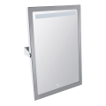 Specchio 40x60 cm acciaio inox/argento