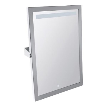 Specchio 40x60 cm acciaio inox/argento