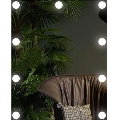 Specchio LED con illuminazione 9xLED/1W/230V 3000/4000/6000K 50x40 cm IP44
