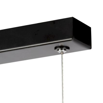 Lampadario a sospensione con filo LED dimmerabile LUCAS LED/25,5W/230V pino