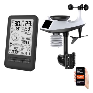 Stazione meteo professionale con display LCD 2xAA Wi-Fi Tuya