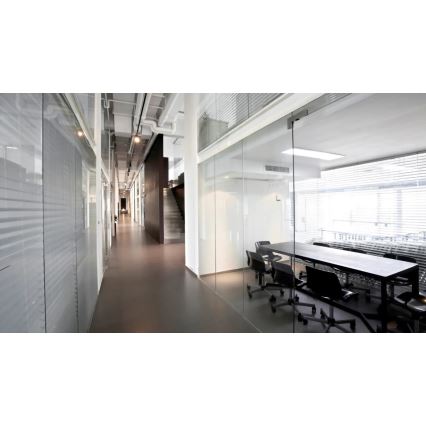 Steinel 000356 - Rilevatore di presenza IR Quattro 8m COM2 bianco