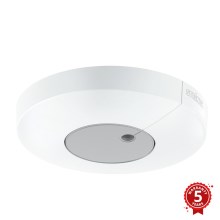 STEINEL 033651 - Sensore crepuscolare Light sensor Dual KNX bianco