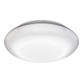 Steinel 035440 - Lampada LED con sensore per esterni QUATTRO LED/10W/230V IP54