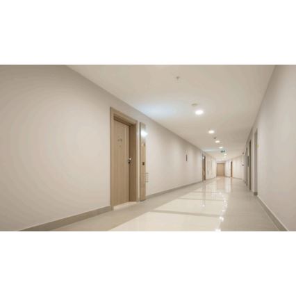 Steinel 057305 - Sensore di movimento IS 345 DALI-2 IPD tondo bianco