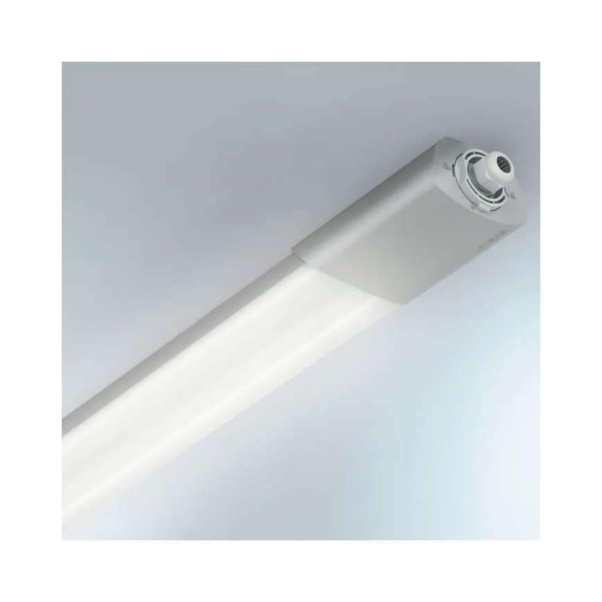 Steinel 058722 - LED Dimmerabile heavy-duty chiaro RS PRO 5150 C LED/42W/230V IP65