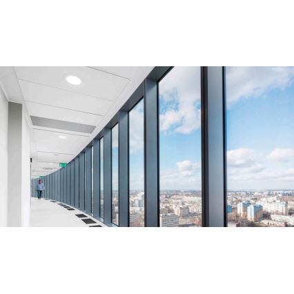 Steinel 059477 - Rilevatore di presenza Dual HF KNX bianco