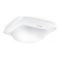 Steinel 064396 - Rilevatore di presenza da incasso IR QUATTRO HD-2 BT-IPD