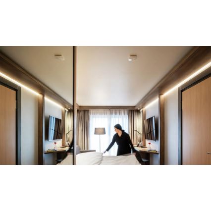 Steinel 064525 - Rilevatore di presenza True Presence BT IPD (Slave) IP54 bianco