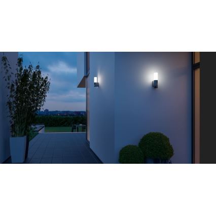 Steinel 065287 - Lampada LED da esterno con sensore L 605 LED/9,5W/230V IP44