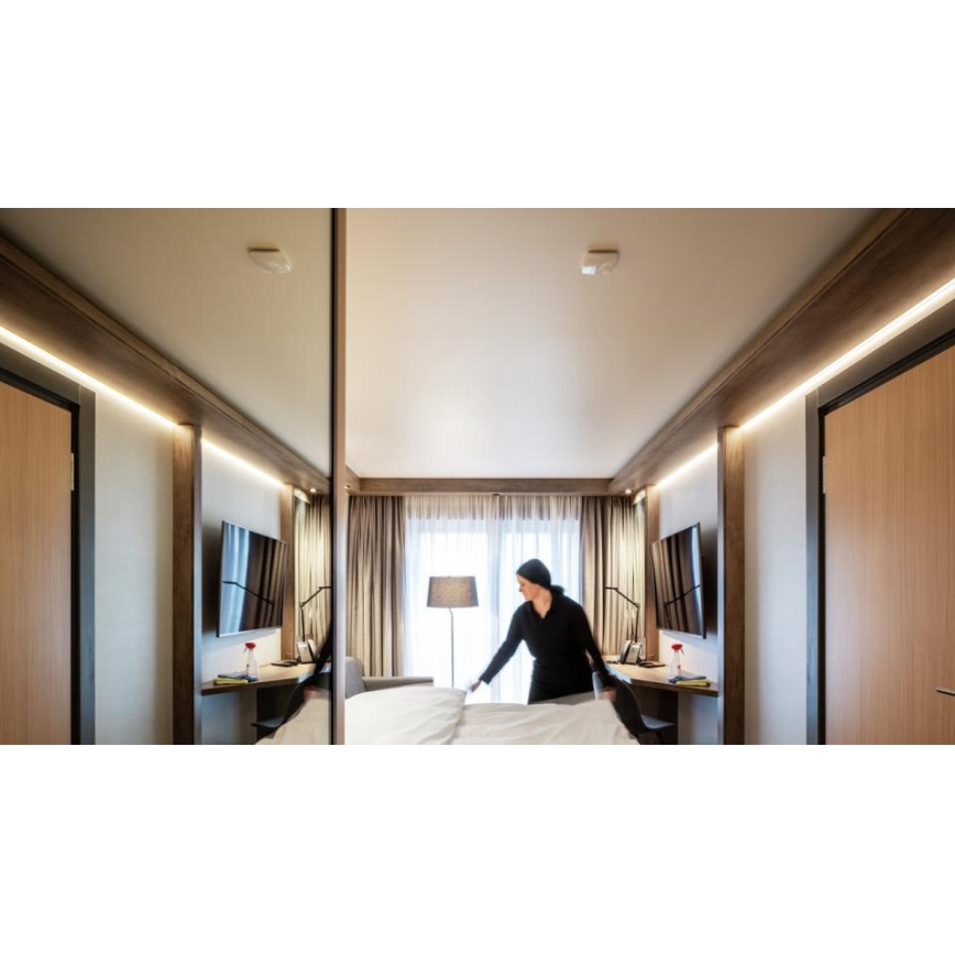 Steinel 066024 - Rilevatore di presenza True Presence IP bianco