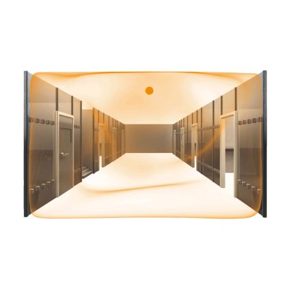 Steinel 079604 - Rilevatore di presenza Dual US KNX bianco