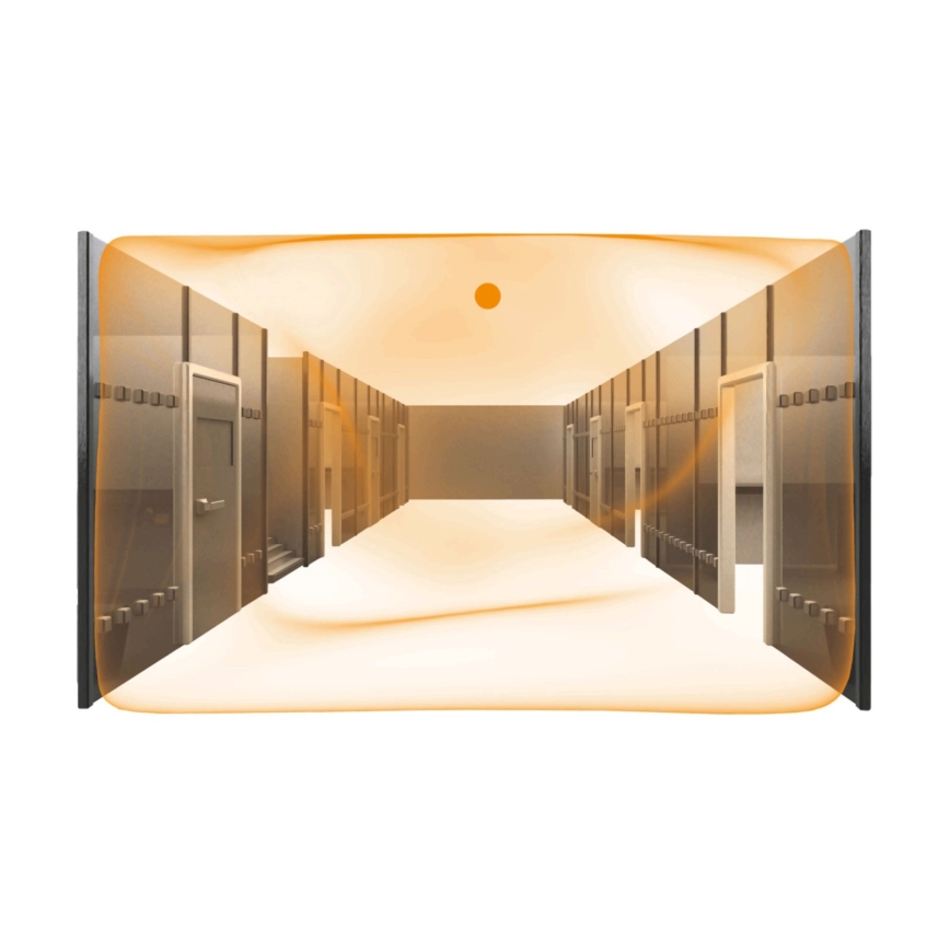 Steinel 079604 - Rilevatore di presenza Dual US KNX bianco