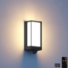 Steinel 085261 - LED Dimmerabile lampada da parete con sensore per esterno L42SC LED/13W/230V IP54