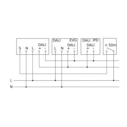 Steinel 088279 - Sensore di movimento con sensore di presenza PD-24 ECO DALI-2 360° bianco