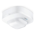 Steinel 088835 - Rilevatore di presenza IR QUATTRO HD DALI DUO