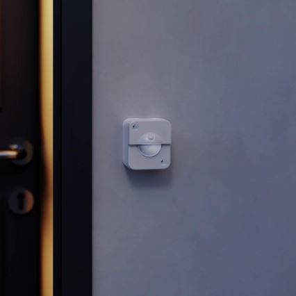STEINEL 66048 - Sensore a infrarossi da esterno IR 180 AP 180° IP54 bianco