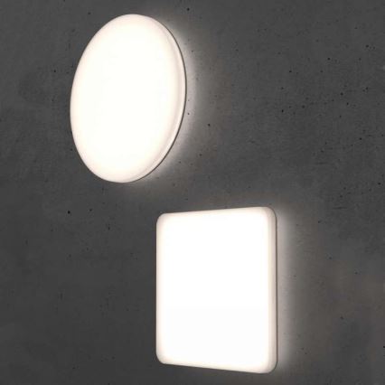 Steinel 067816 - Plafoniera LED dimmerabile con sensore RS PRO R10 BASIC SC LED/8,5W/230V 3000K IP40