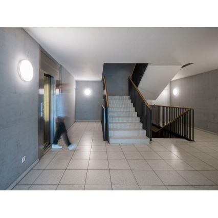 Steinel - Plafoniera LED dimmerabile con sensore RSPROR30QBASICSC 23,26W/230V IP40 3000K