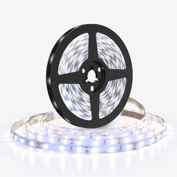 Striscia LED 50W/12V 5m bianco freddo