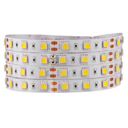 Striscia LED 5m LED/10W/12V IP20 bianco