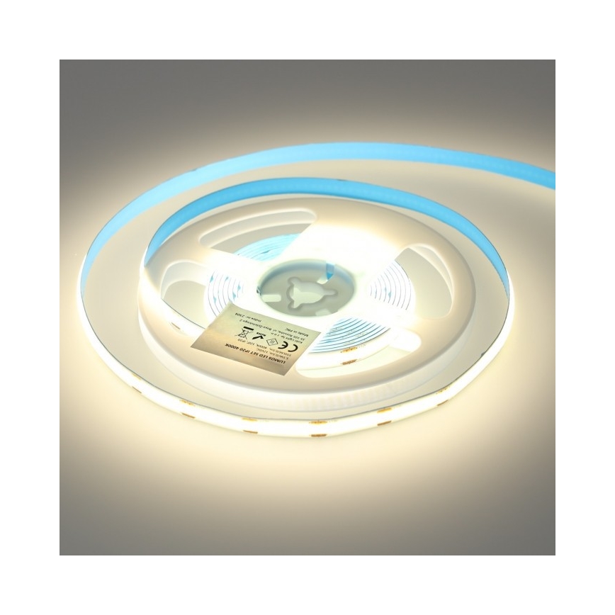 Striscia LED dimmerabile LED/25W/230V 3m 4000K