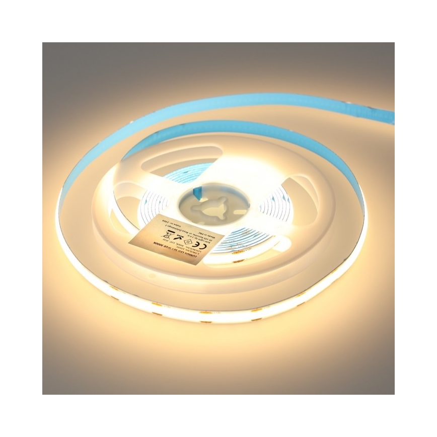 Striscia LED dimmerabile LED/25W/230V 3m 3000K