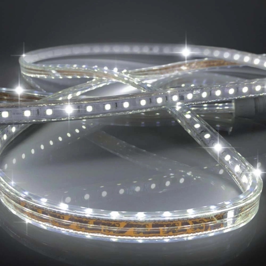 Striscia LED EASY CONNECT LED/14,4W/230V 3m IP67 bianco freddo