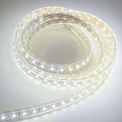 Striscia LED EASY CONNECT LED/14,4W/230V 3m IP67 bianco freddo