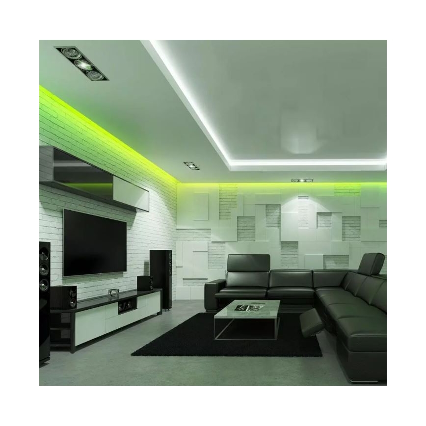Striscia LED RGB dimmerabile 2x5m LED/4,8W/230V + TC