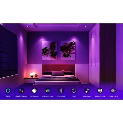 Striscia LED RGB dimmerabile per esterni LED/24W/12V IP65 5 m Wi-Fi Tuya