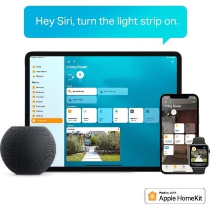 Striscia LED RGBW dimmerabile 5 m LED/13W/230V Wi-Fi