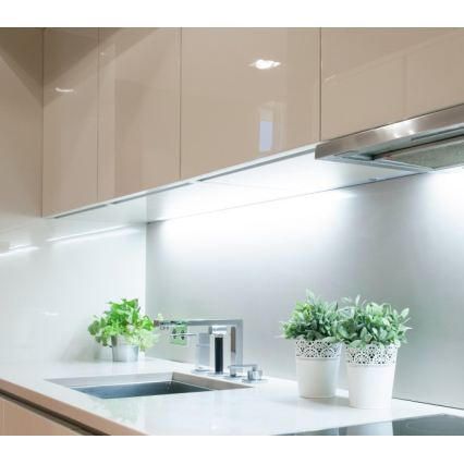 Striscia LED TRAMO LED/500W/12V 50m 6500K