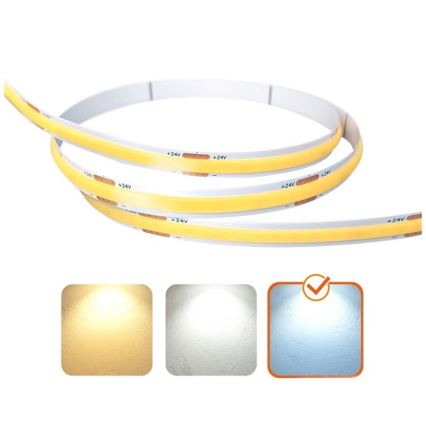 Striscia LED TRAMO LED/500W/24V 50 m 6500K