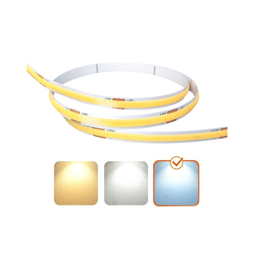 Striscia LED TRAMO LED/500W/24V 50 m 6500K