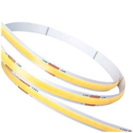 Striscia LED TRAMO LED/500W/24V 50 m 6500K