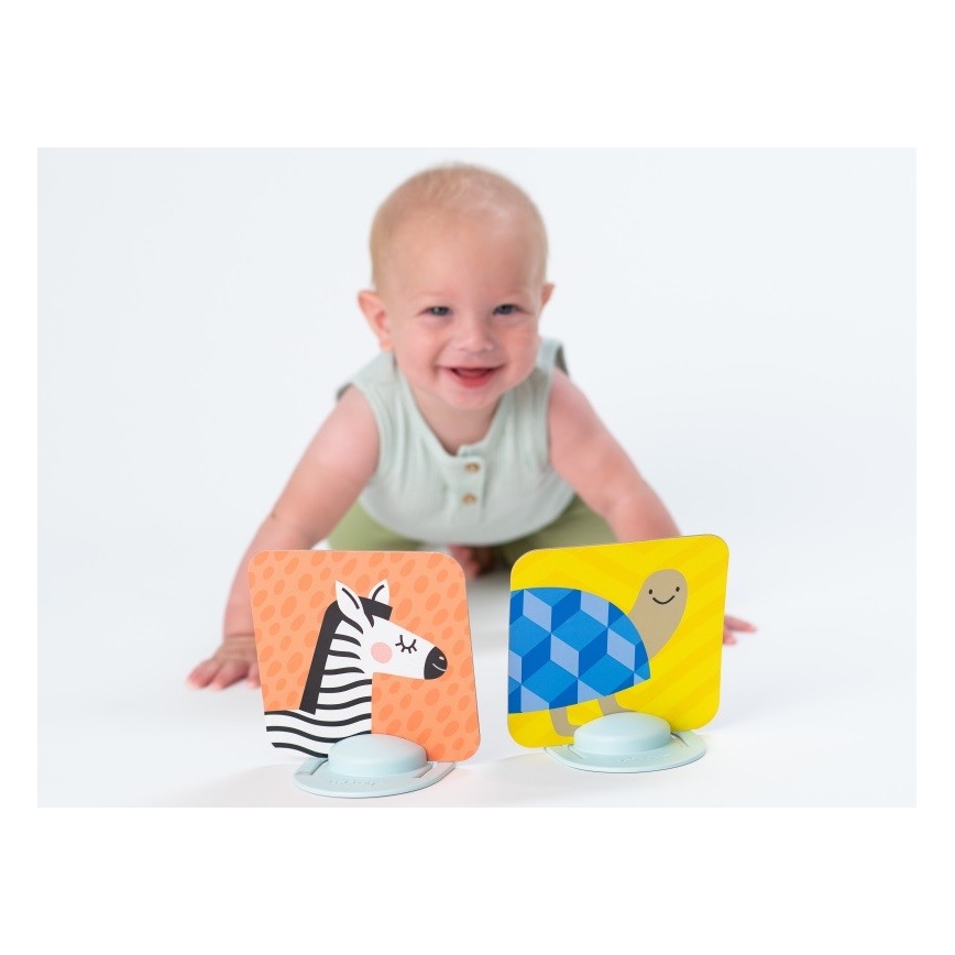 Taf Toys - Carte per il tempo del pancino 18 pz.