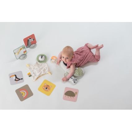 Taf Toys - Confezione regalo HELLO BABY