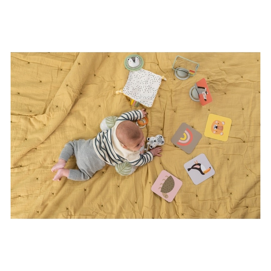 Taf Toys - Confezione regalo HELLO BABY