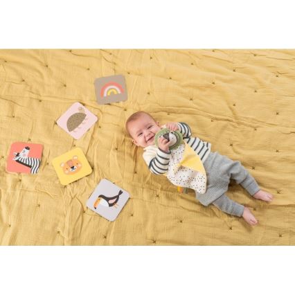 Taf Toys - Confezione regalo HELLO BABY