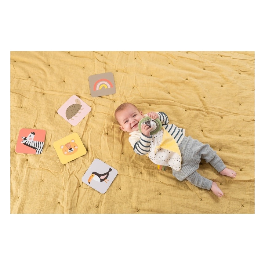 Taf Toys - Confezione regalo HELLO BABY