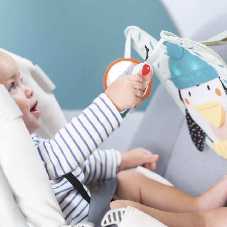 Taf Toys - Giocattolo auto Play & Kick pinguino 3xAA